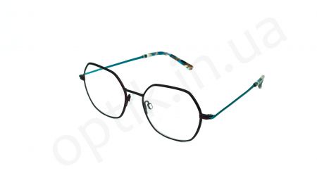 Детская оправа NIFTIES NI8520-3431
